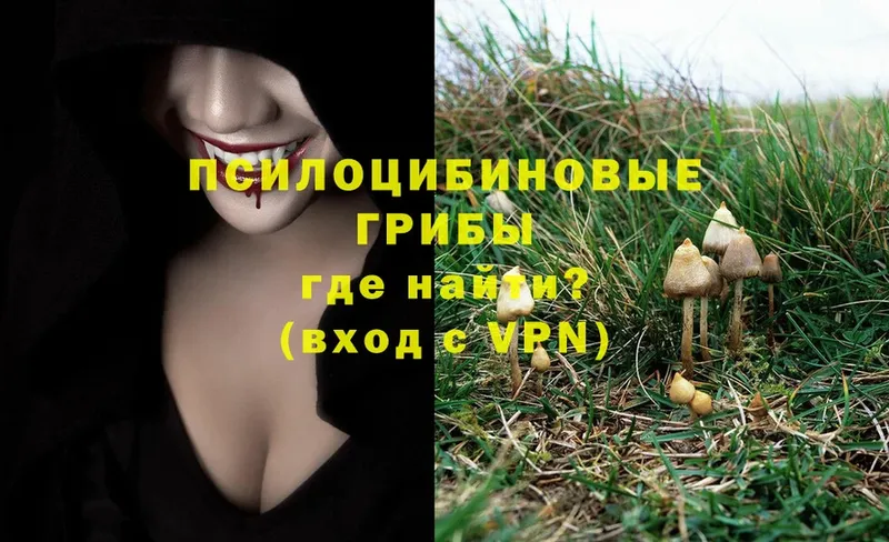 купить закладку  Вытегра  Галлюциногенные грибы Magic Shrooms 